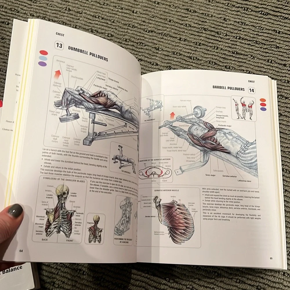 Strength training anatomy book - Picture 3 of 3